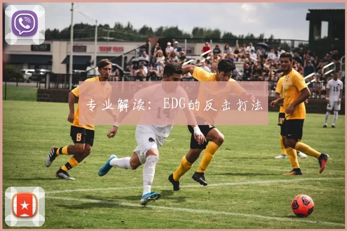 专业解读：EDG的反击打法