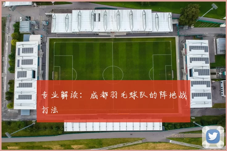专业解读：成都羽毛球队的阵地战打法