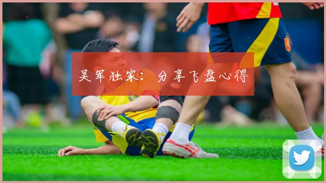吴军独家：分享飞盘心得