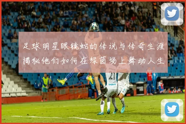 足球明星眼镜蛇的传说与传奇生涯揭秘他们如何在绿茵场上舞动人生