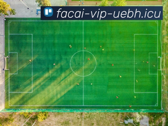 开云体育品牌故事