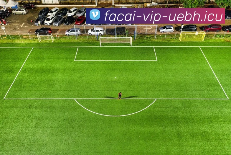 开云体育APP 体育赛事宣传图